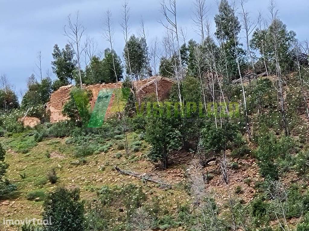 Terreno Misto com Ruína para Recuperar Silves. - Grande imagem: 4/13