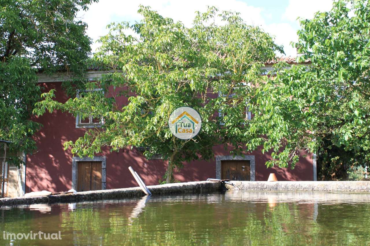 Quinta T5 Senhorial no Rio Dão - Grande imagem: 4/29