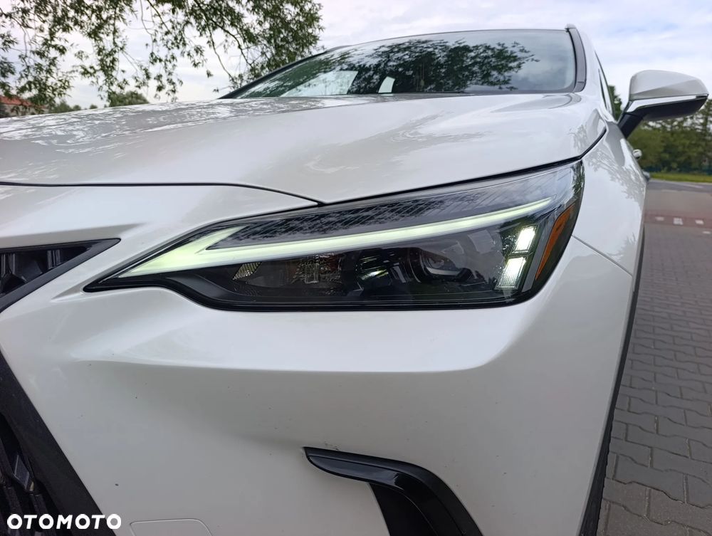 Lexus NX 350h - 21