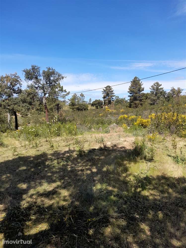 Terreno Rústico  Venda em Benquerenças,Castelo Branco - Grande imagem: 5/8