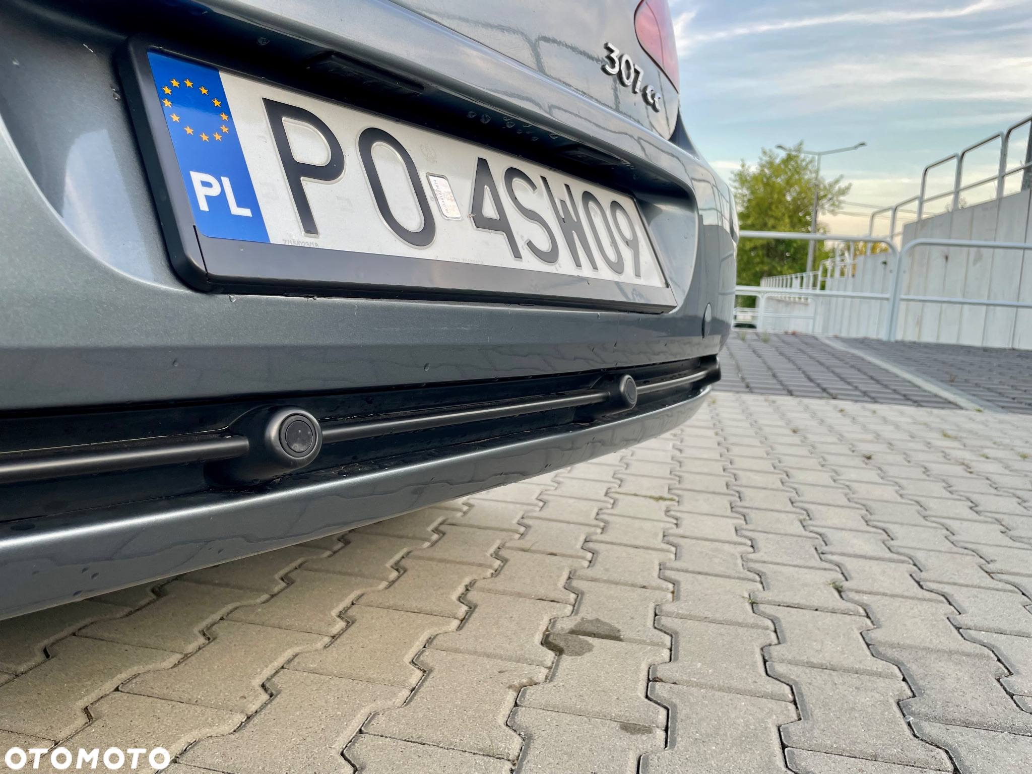 Peugeot 307 CC 2.0 - 25
