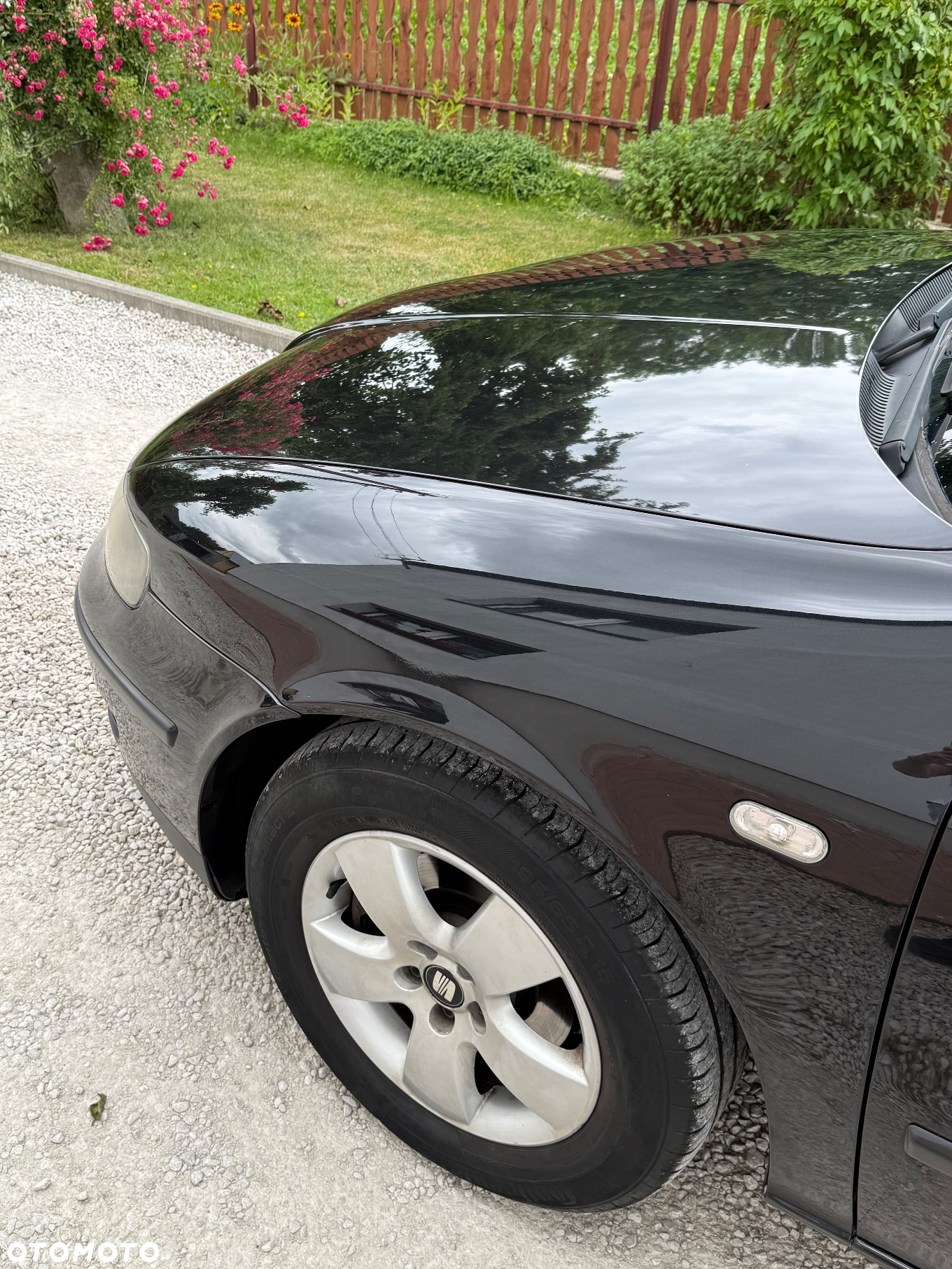 Seat Leon - 10