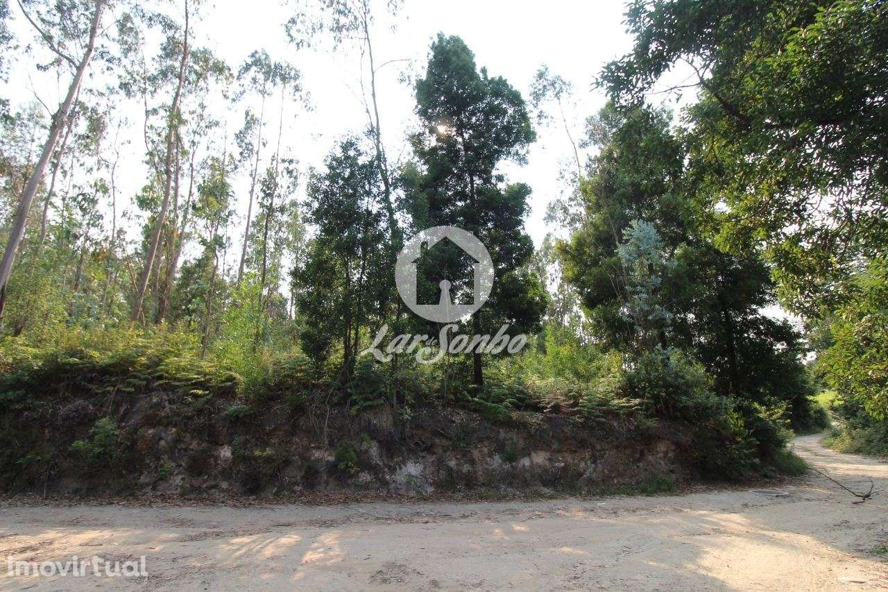 Terreno Florestal com 10.000m2 em Tougues - Vila do Conde - Grande imagem: 2/11