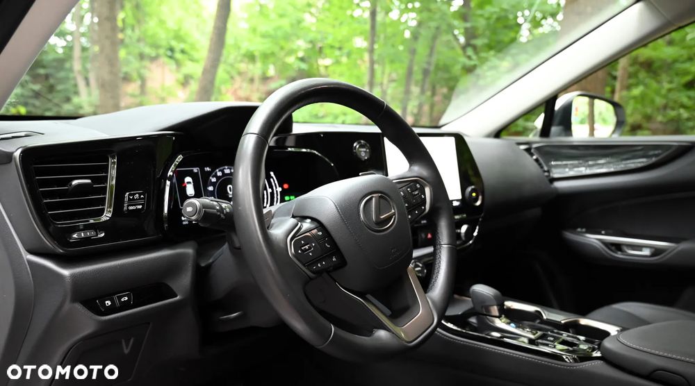 Lexus NX - 22