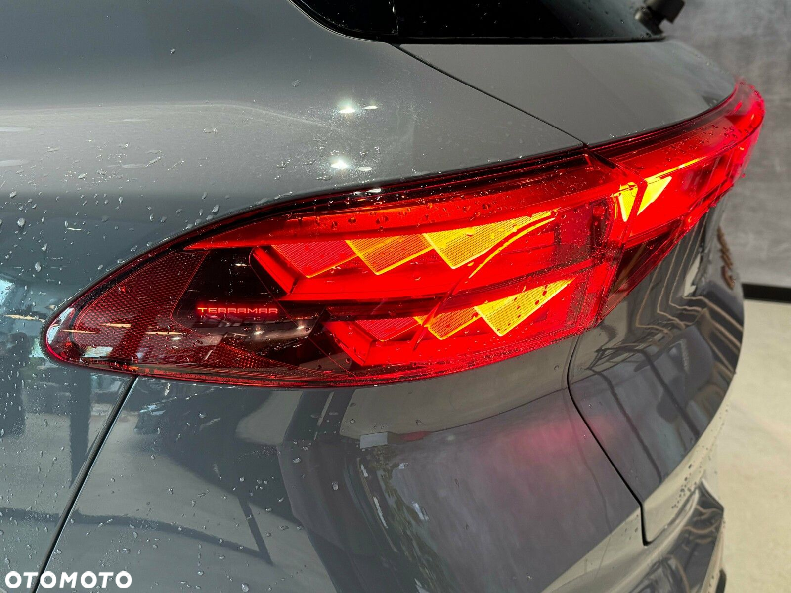 Cupra Terramar - 8