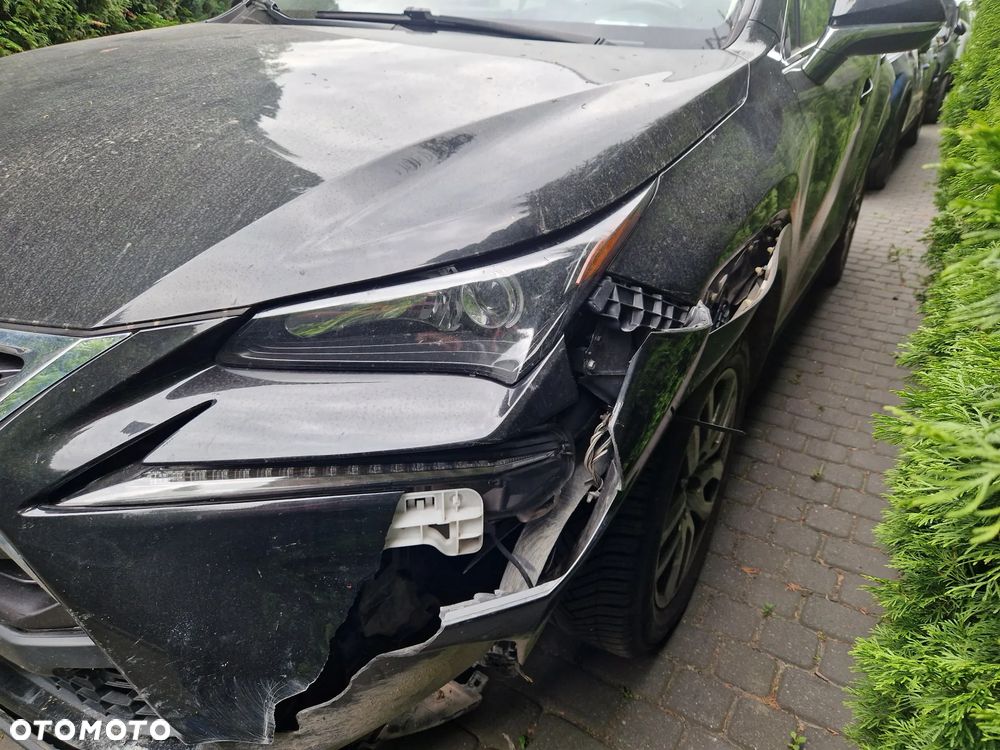 Lexus NX 300h - 5