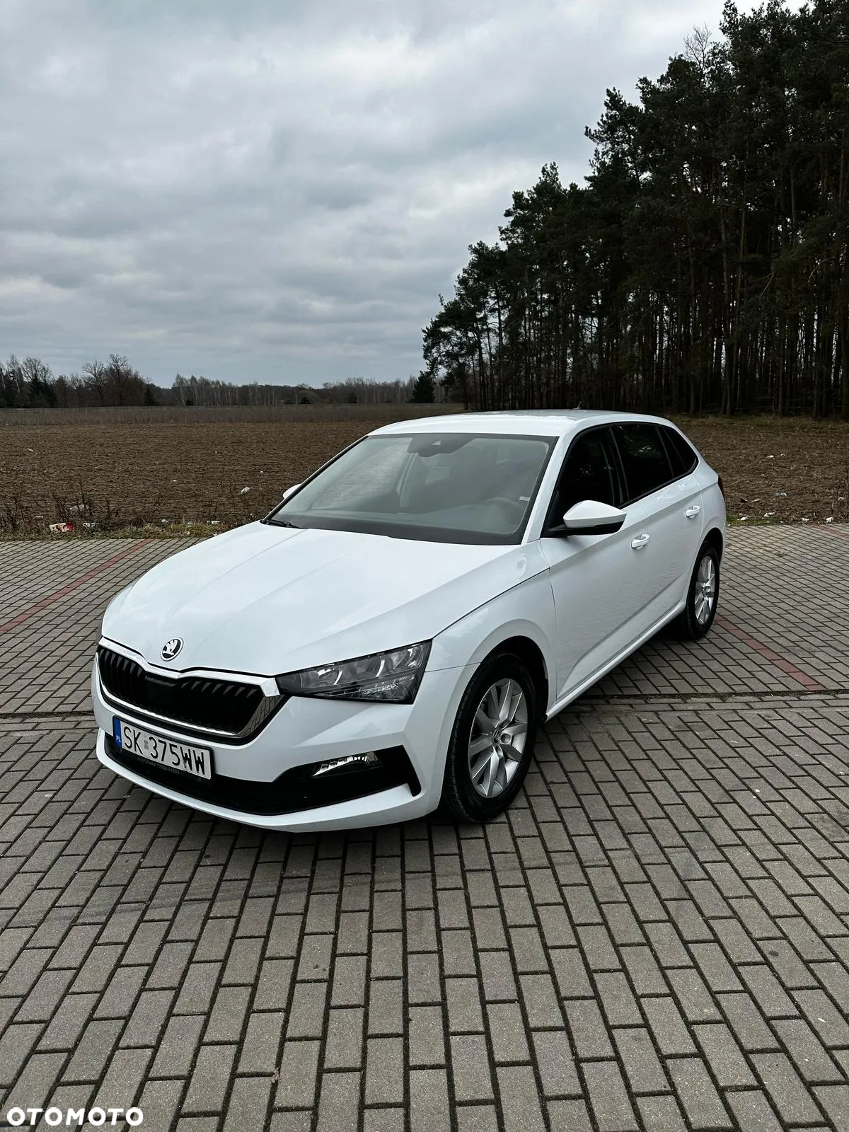 Skoda Scala 1.0 TSI Ambition DSG - 4