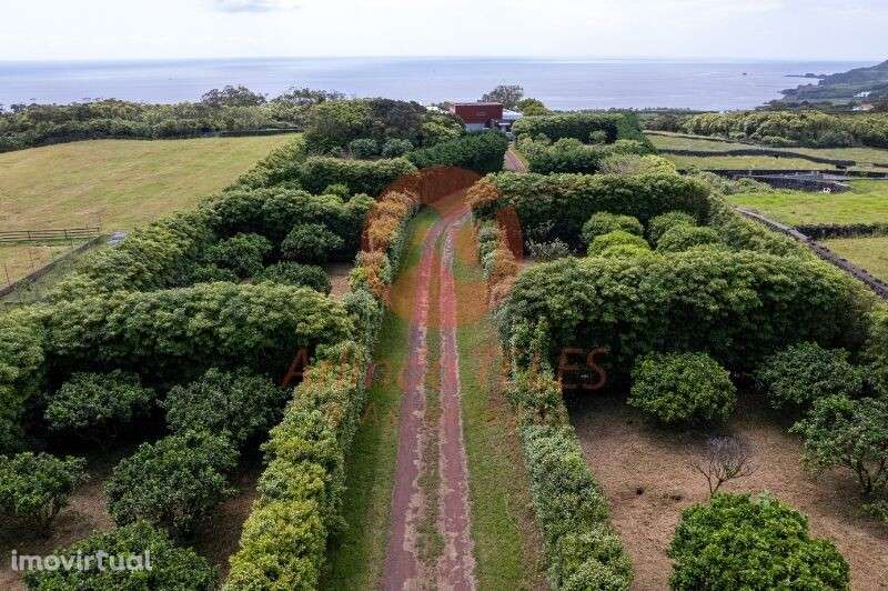 Venda Moradia - Grande imagem: 2/56