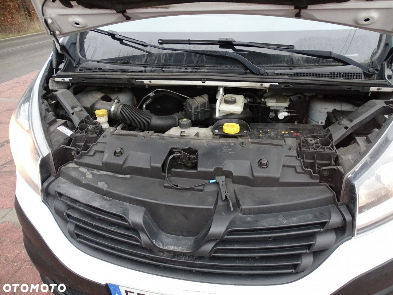 Renault Trafic - 24