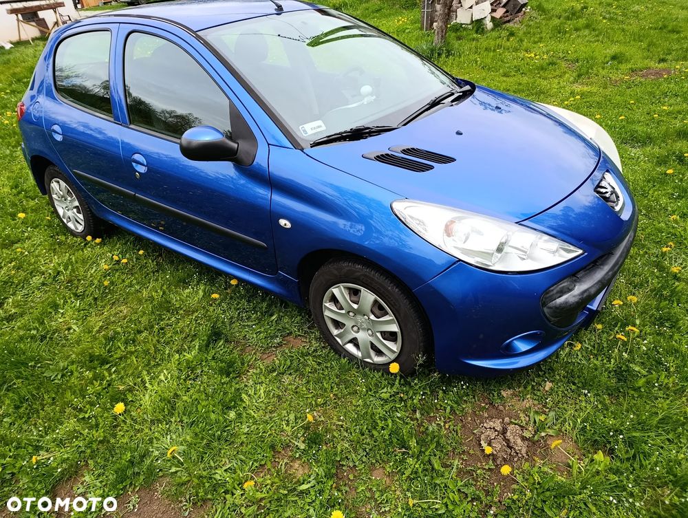 Peugeot 206 plus - 7