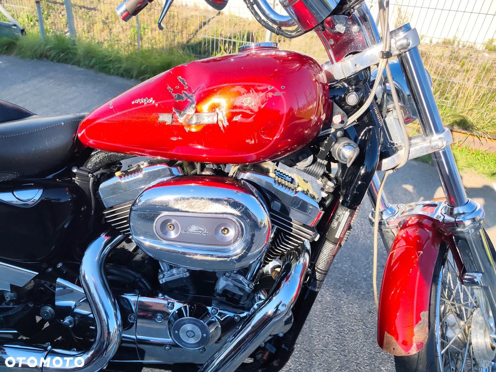 Harley-Davidson Sportster Custom 1200C - 17