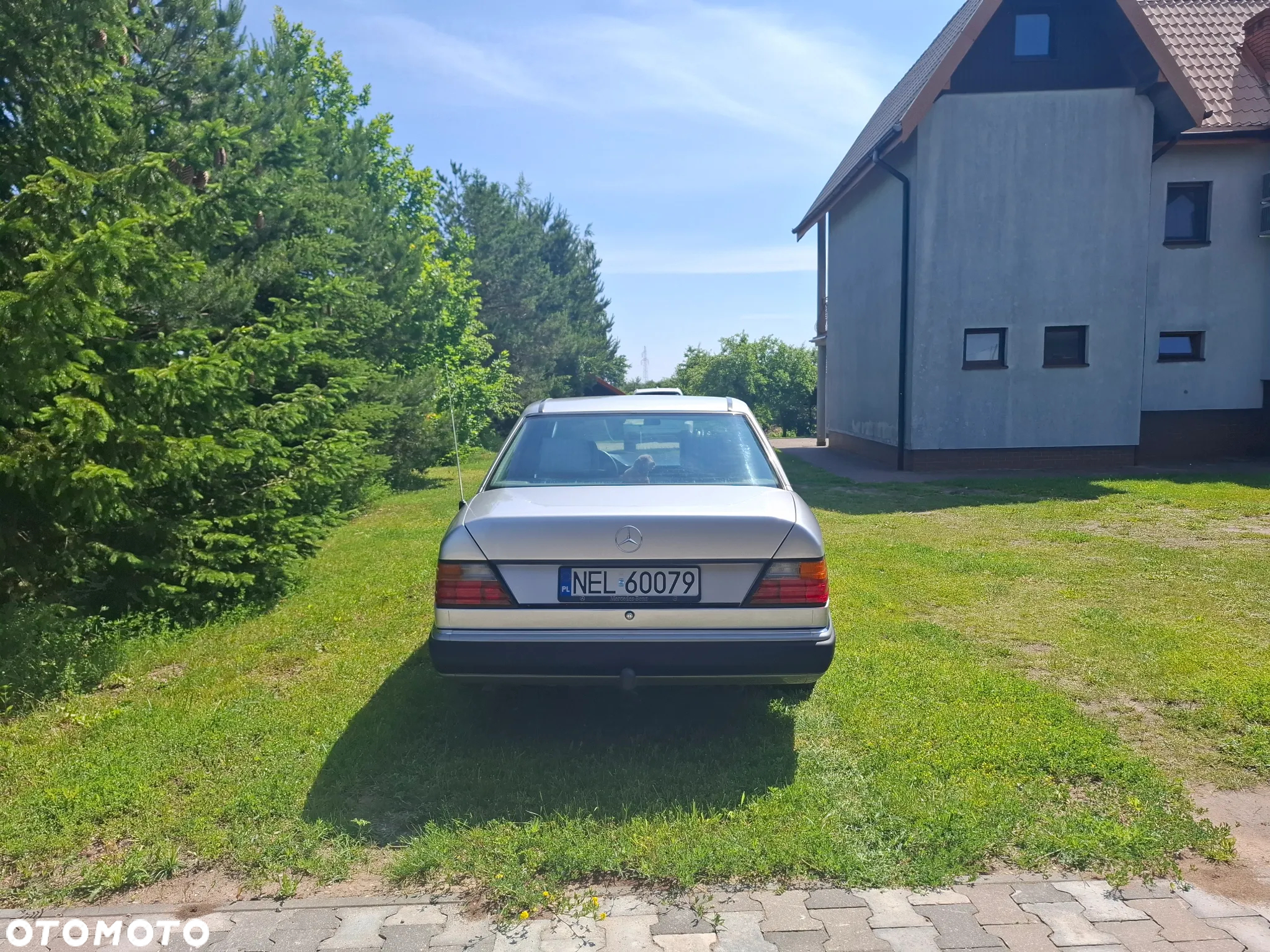 Mercedes-Benz W124 (1984-1993) - 4