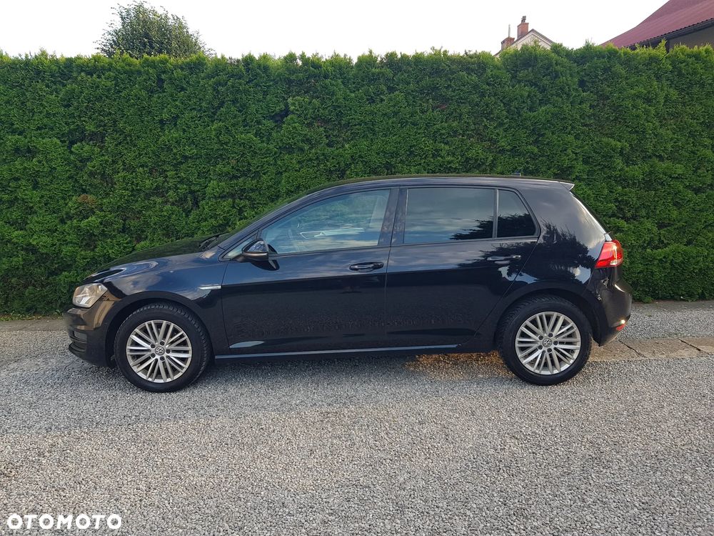 Volkswagen Golf 1.6 TDI BlueMotion Technology Cup - 12