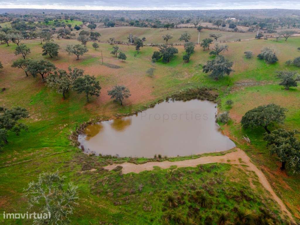 Fantástica quinta típica Alentejana em Vila Verde de Ficalho - Grande imagem: 4/27