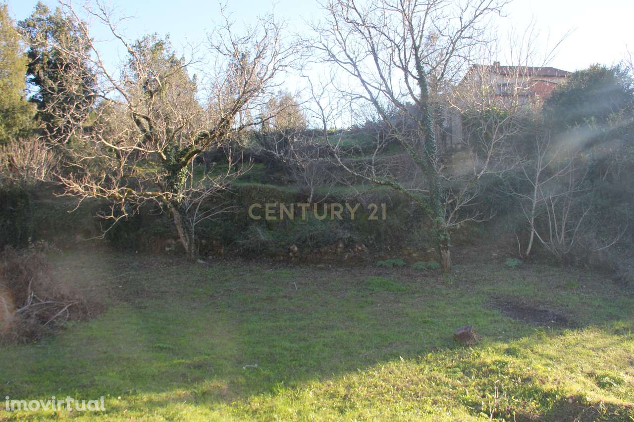 Fantástico terreno para moradia - Grande imagem: 4/27