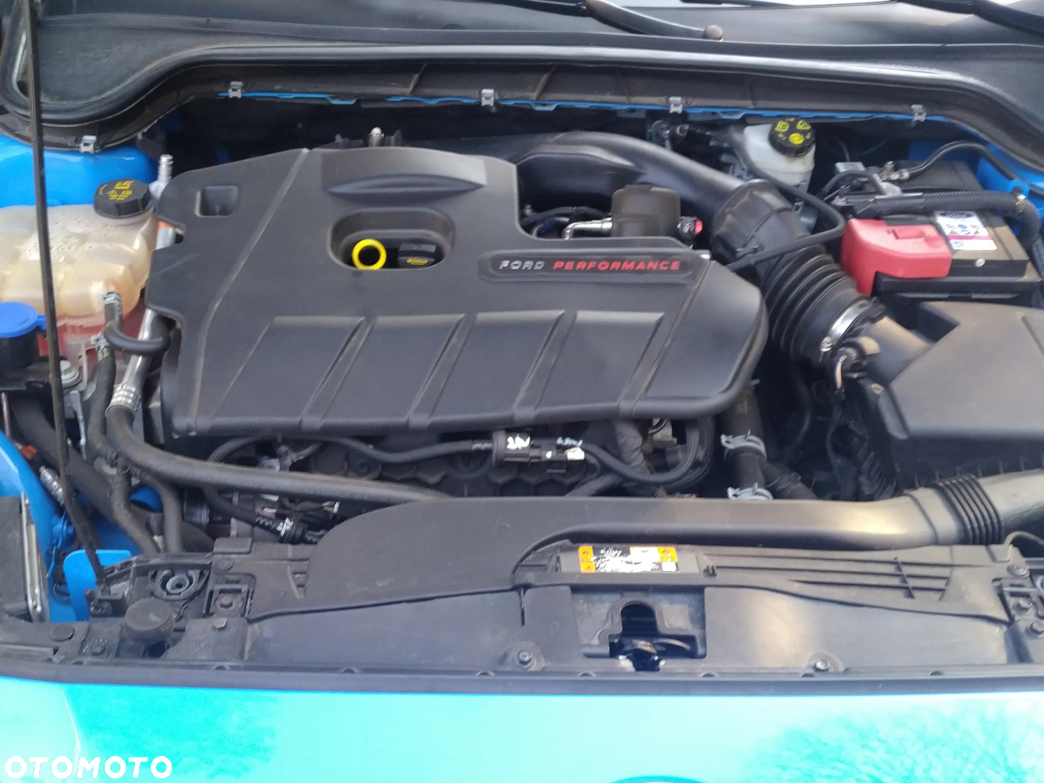 Ford Focus 2.3 EcoBoost ST Edition - 7