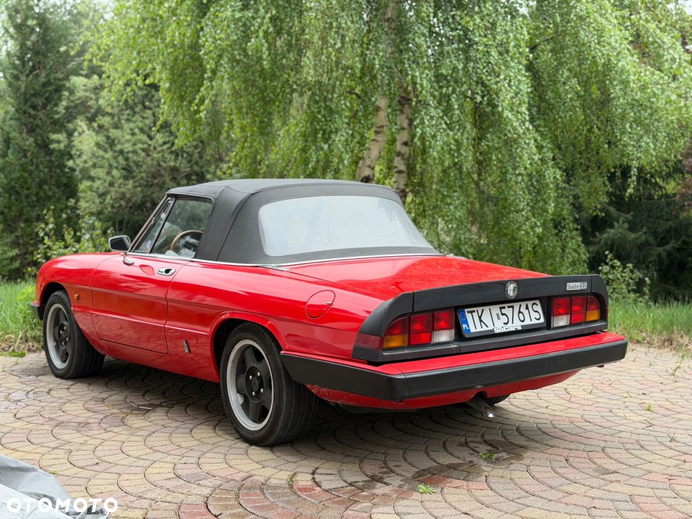 Alfa Romeo Spider - 3