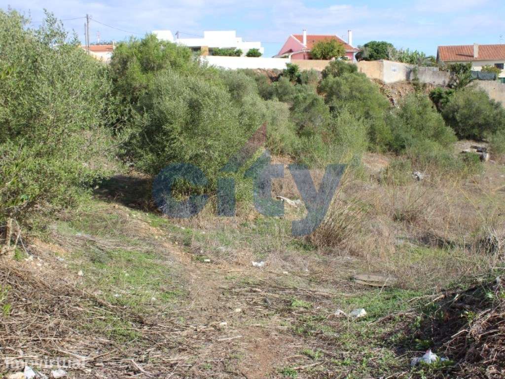 TERRENO 3.600 M2, MORELENA - SINTRA - Grande imagem: 4/38