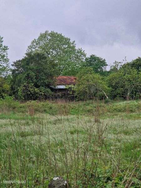 Quinta para restaurar perto da saída da A42 em Felgueiras - Grande imagem: 3/9