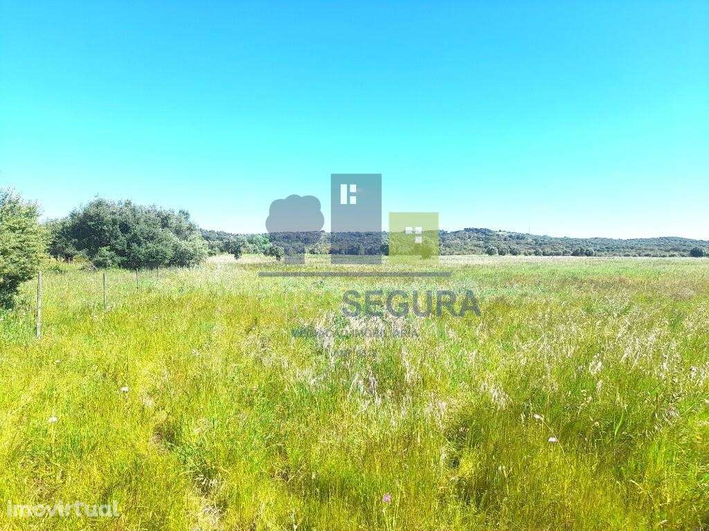 Terreno rústico | V.N.Baronia - Grande imagem: 4/7