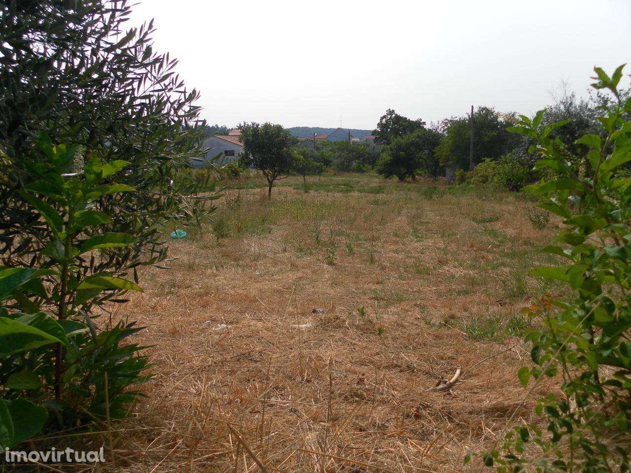 Lote de Terreno - Grande imagem: 3/8