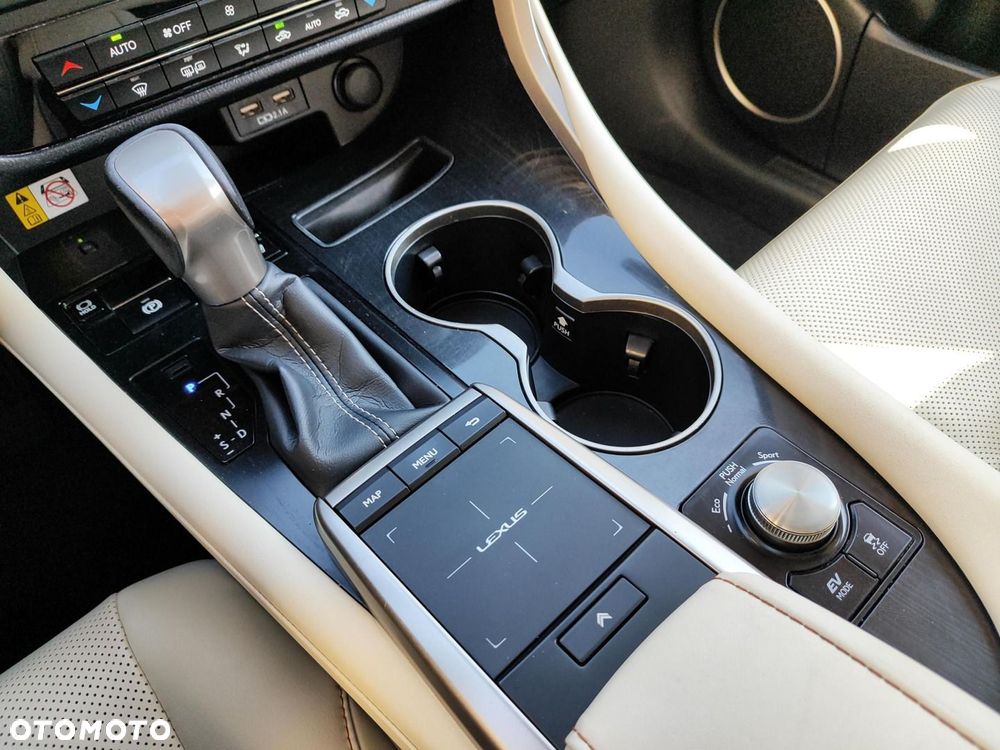 Lexus RX 450h F-Impression - 19