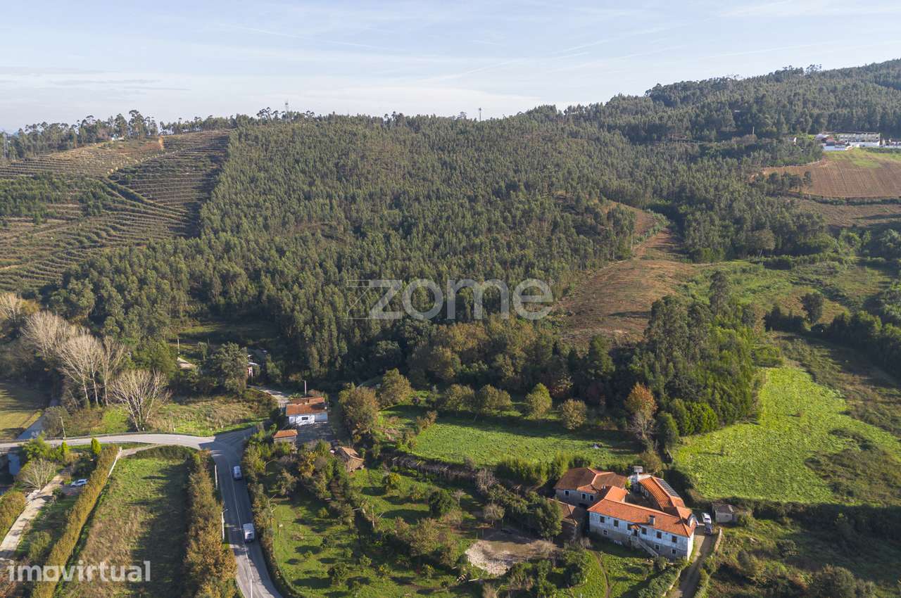 Casal - Terreno de uso Silvícola e Agrícola c/ 44.077 m², em Sobrei... - Grande imagem: 3/15