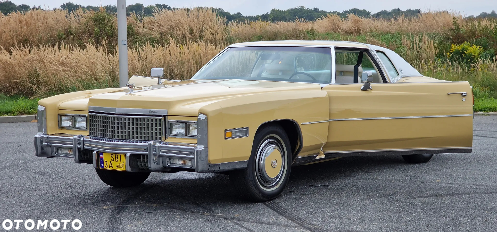 Cadillac Eldorado - 24