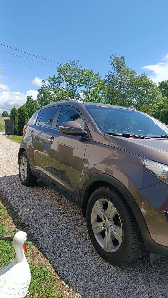 Kia Sportage - 8