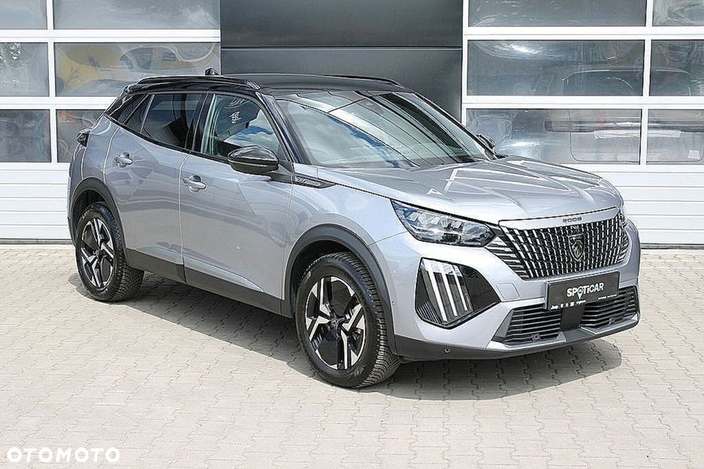 Peugeot 2008 - 18