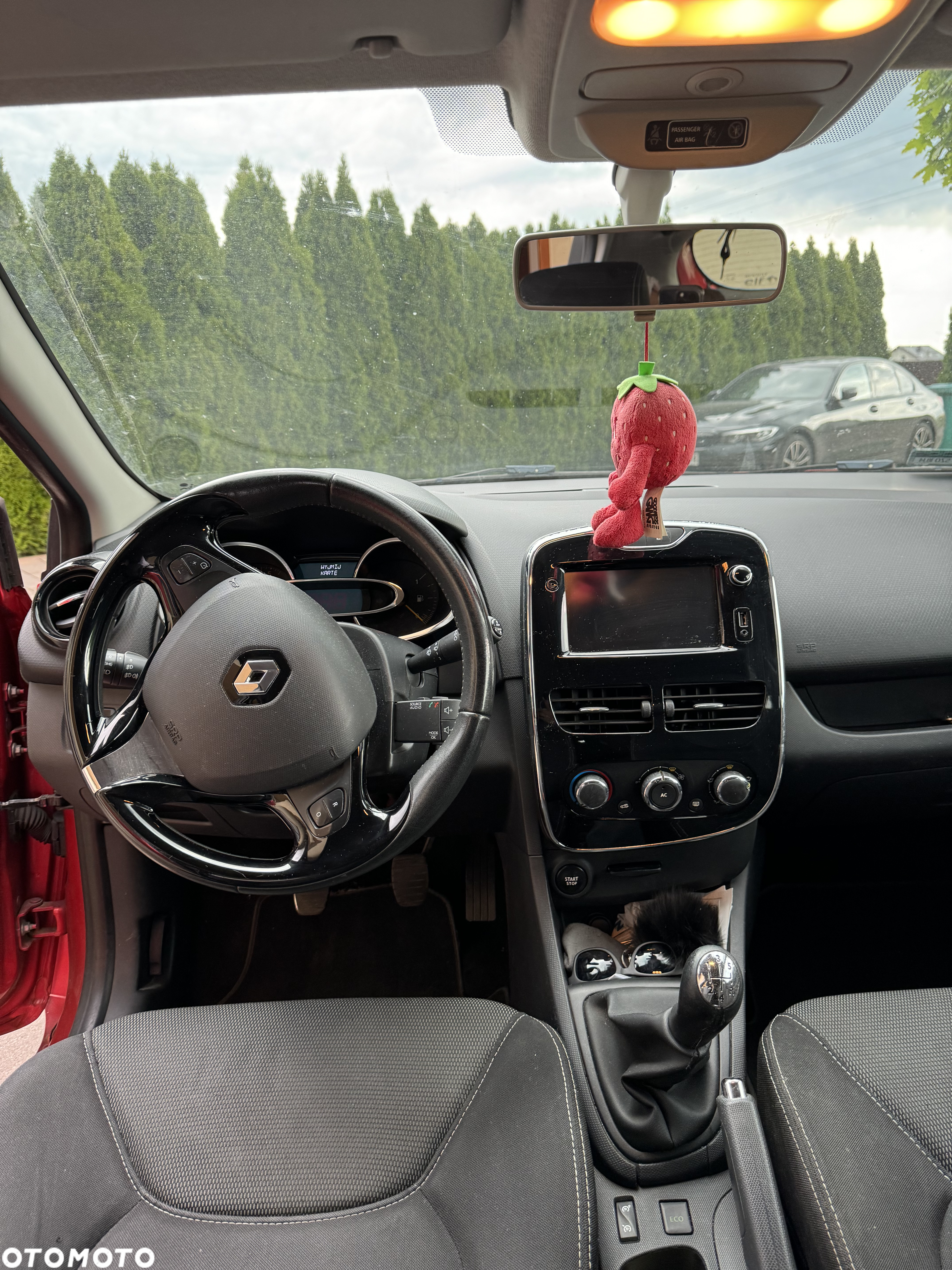 Renault Clio - 6