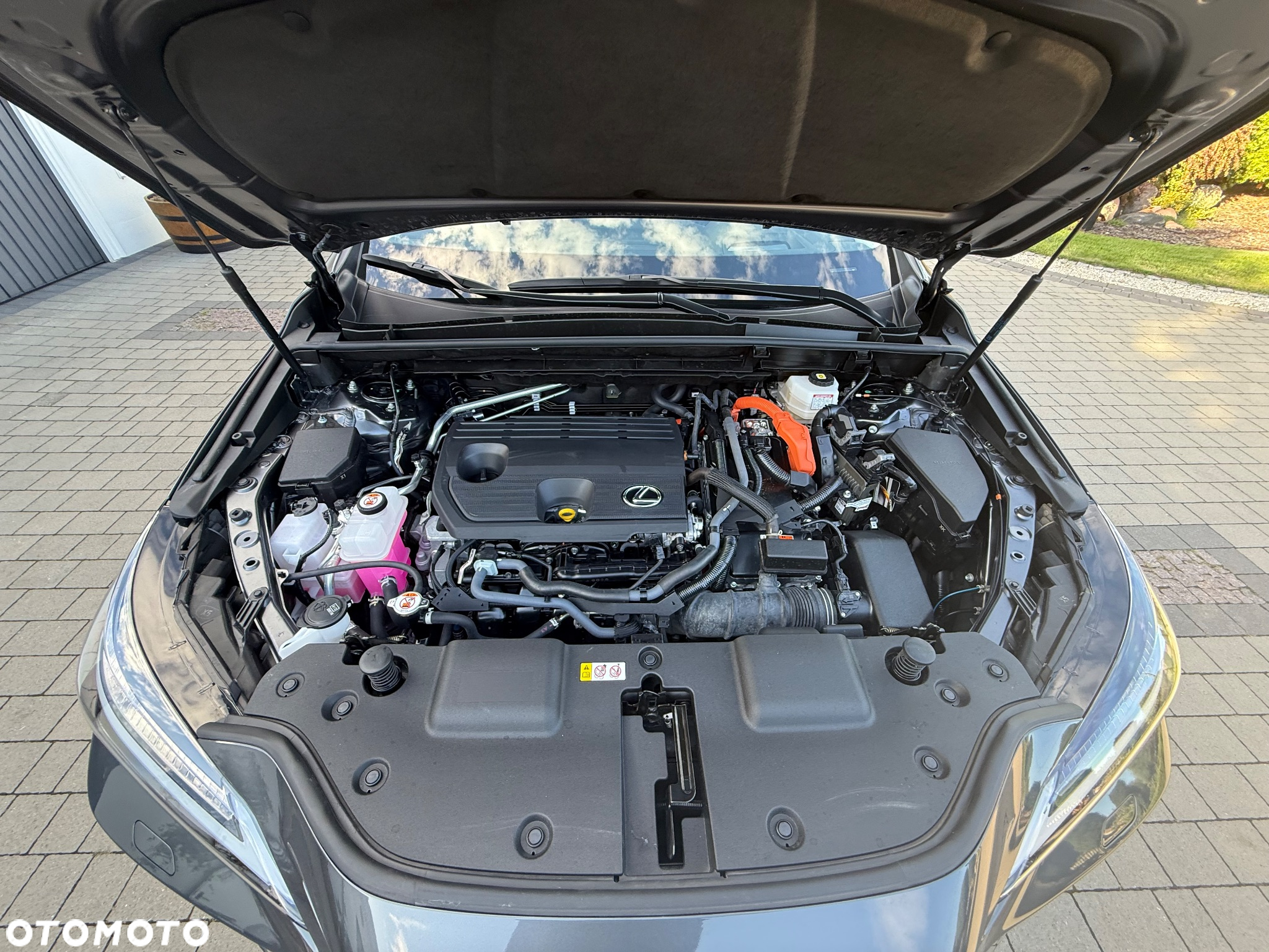 Lexus NX 350h Prestige AWD - 14