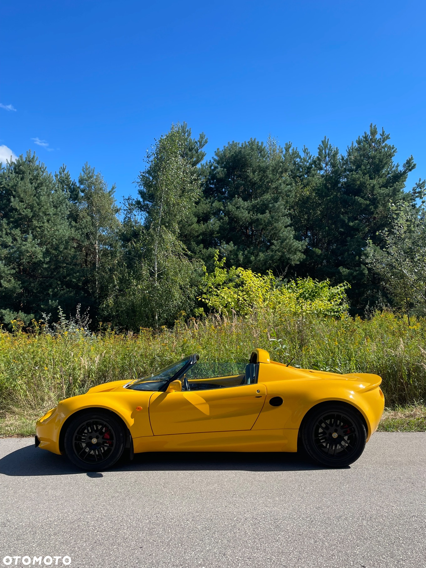 Lotus Elise Standard - 39
