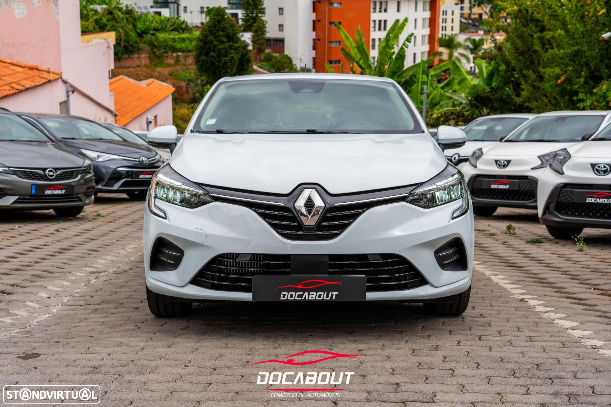 Renault Clio - 1