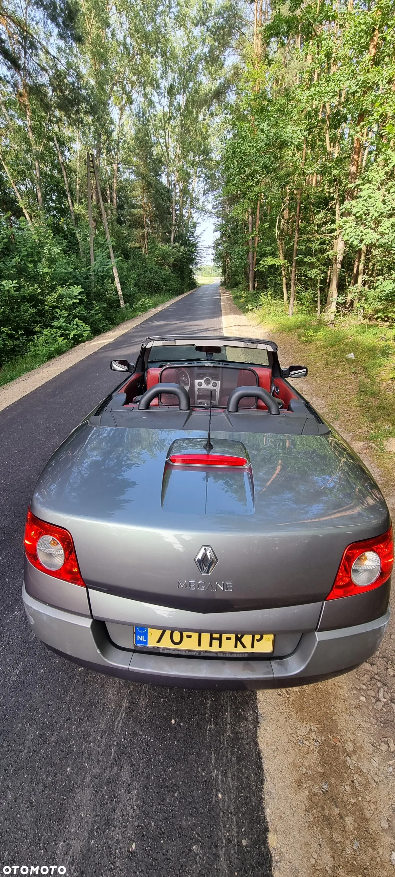 Renault Megane CC 2.0 16V Privilege - 6