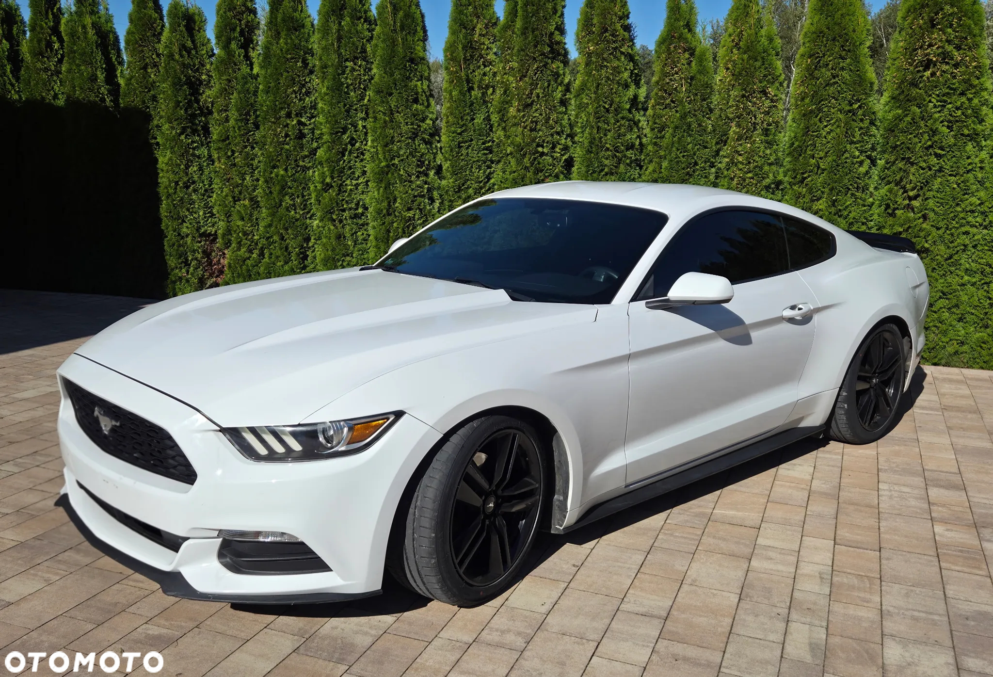 Ford Mustang 3.7 V6 - 18