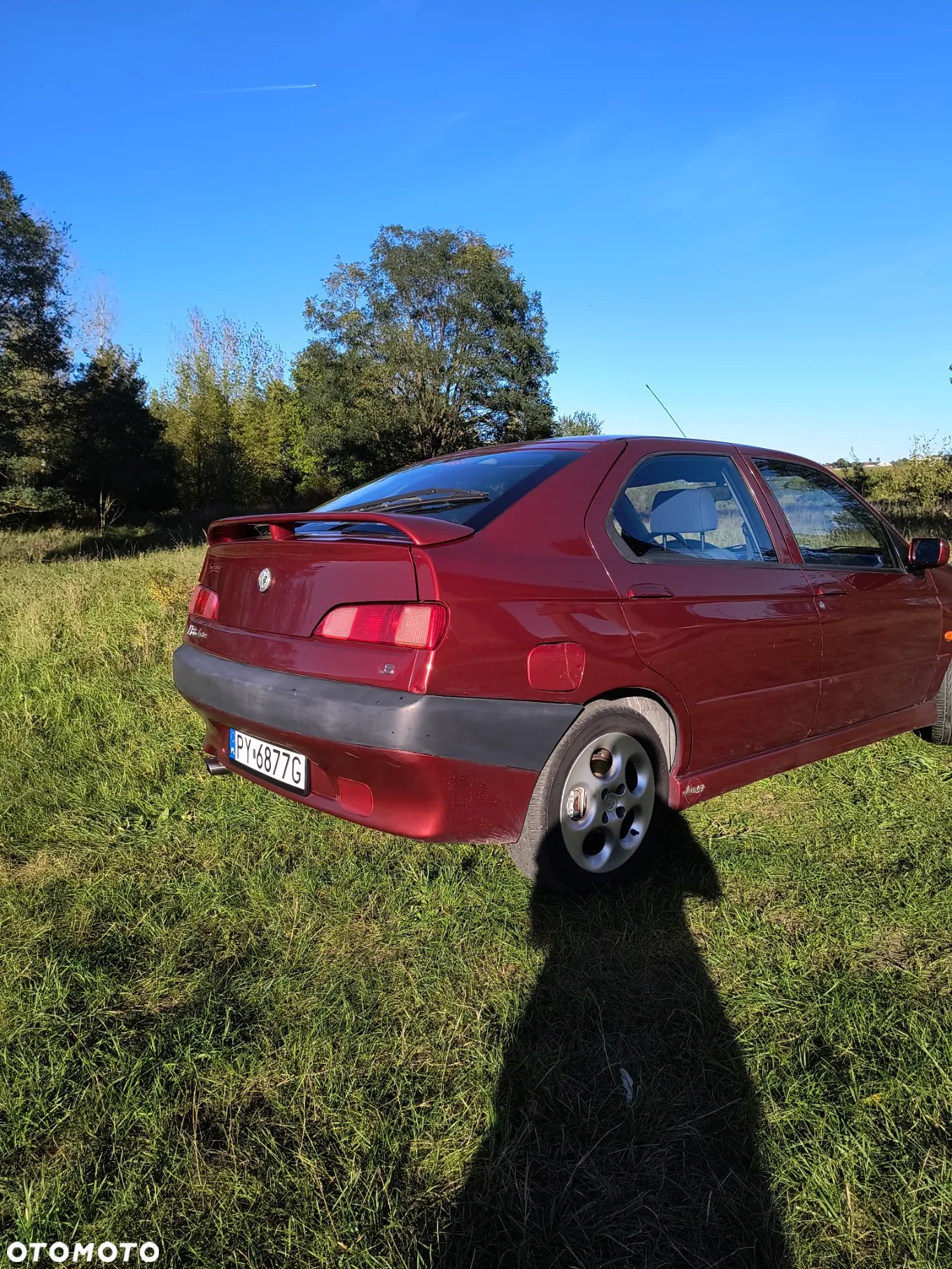 Alfa Romeo 146 1.6 TSpark L - 6