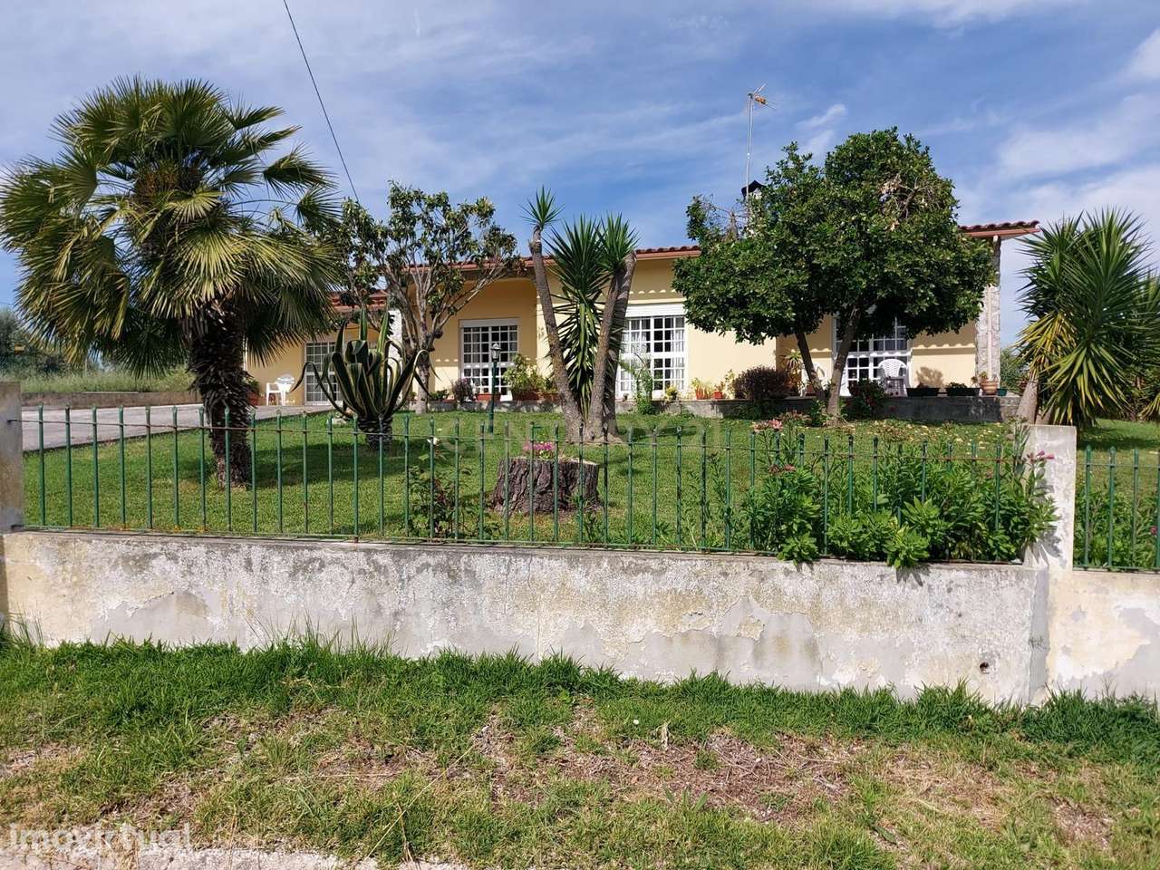 Moradia T3 em Pombal - Grande imagem: 2/43