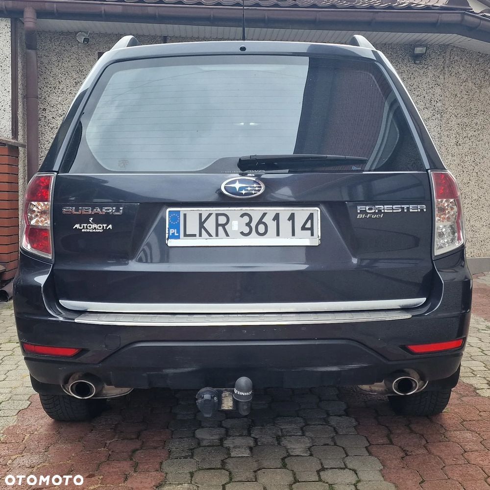Subaru Forester - 7