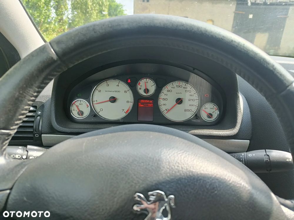 Peugeot 407 - 14