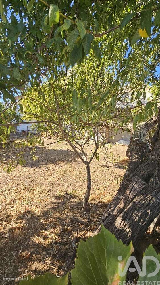 Terreno em Loulé (São Clemente) de 234,00 m2 - Grande imagem: 4/14