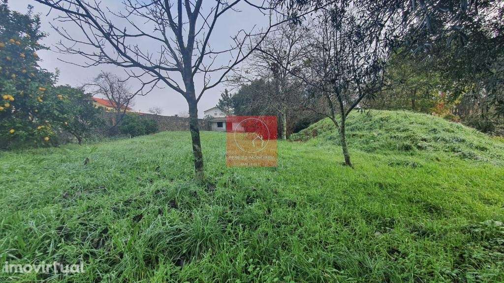 Venda Moradia - Grande imagem: 5/15