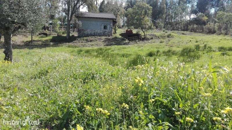 Quintinha - terreno vedado com uma  casita - Grande imagem: 3/4