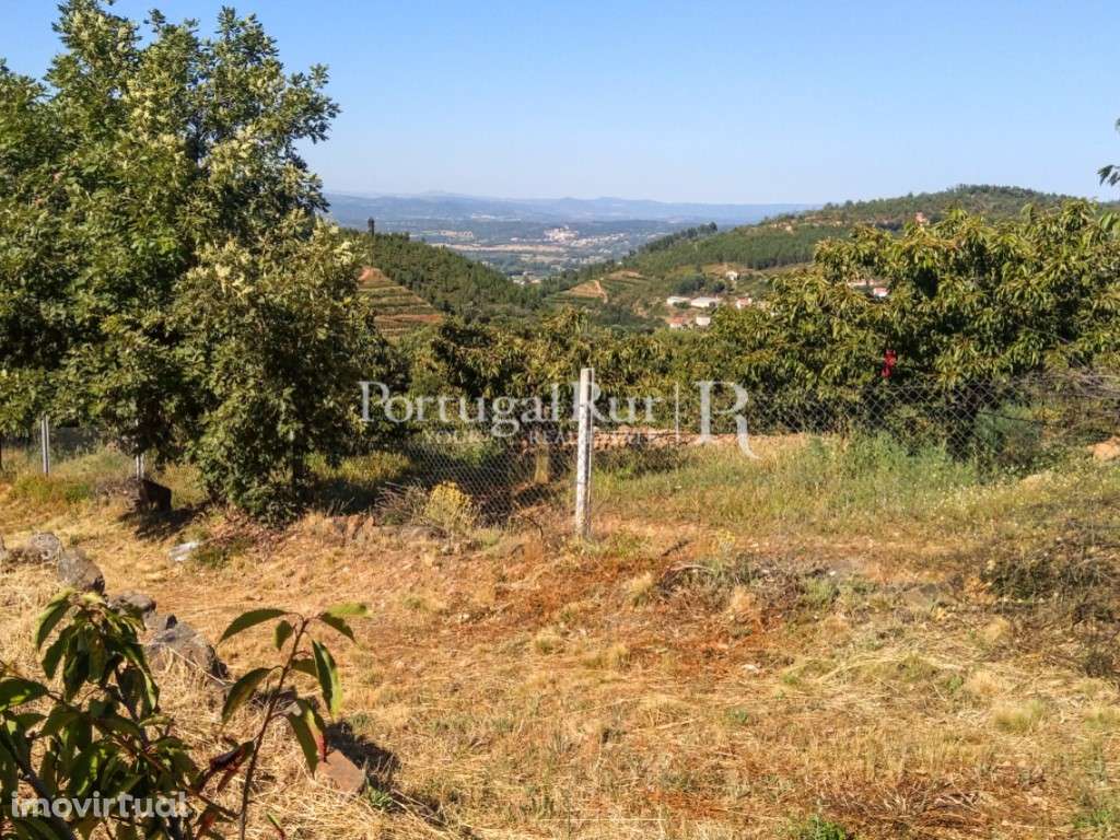 Terreno de 11.100 m² em Alcongosta, na Serra da Gardunha - Grande imagem: 2/36