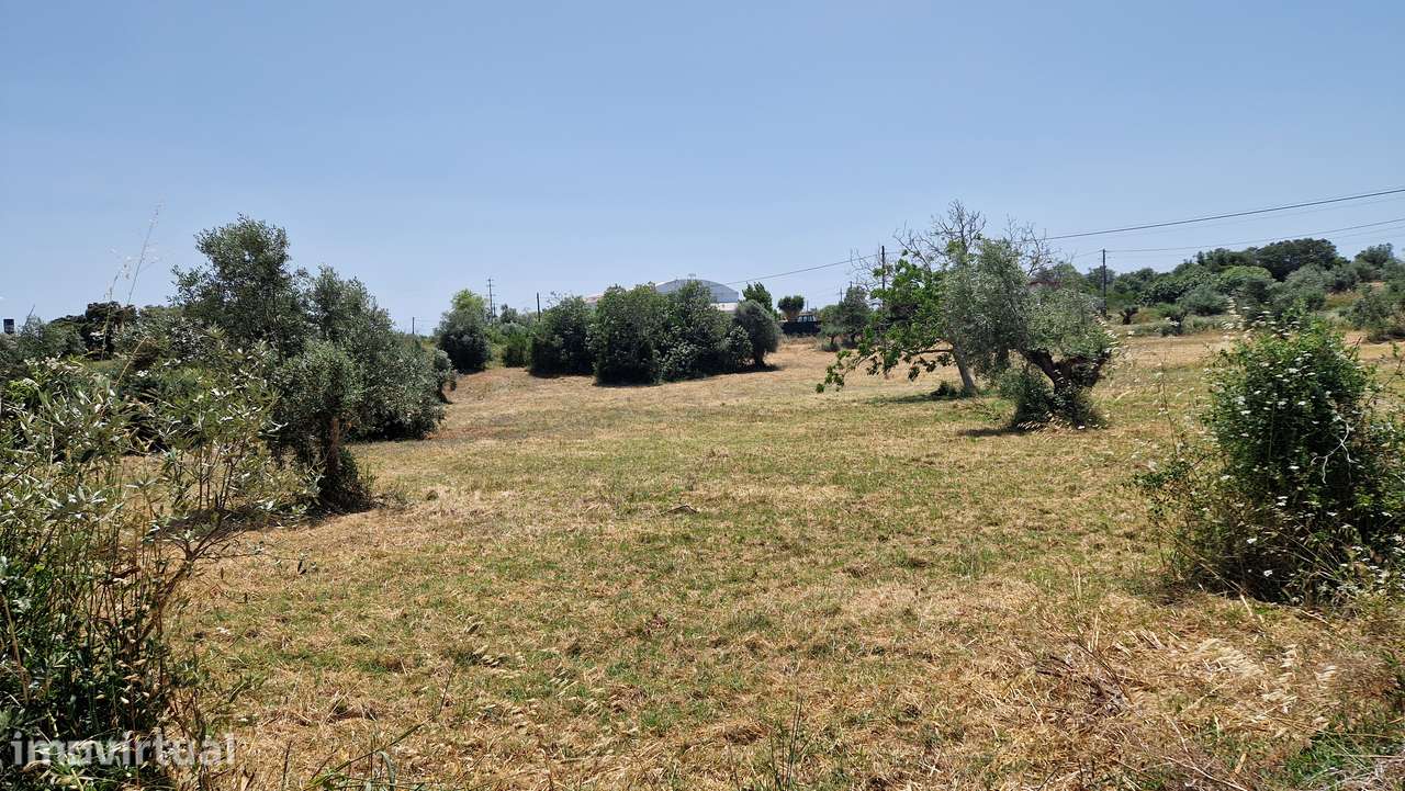 Terreno para venda em Casal da Estrada, Torres Novas - Grande imagem: 3/12