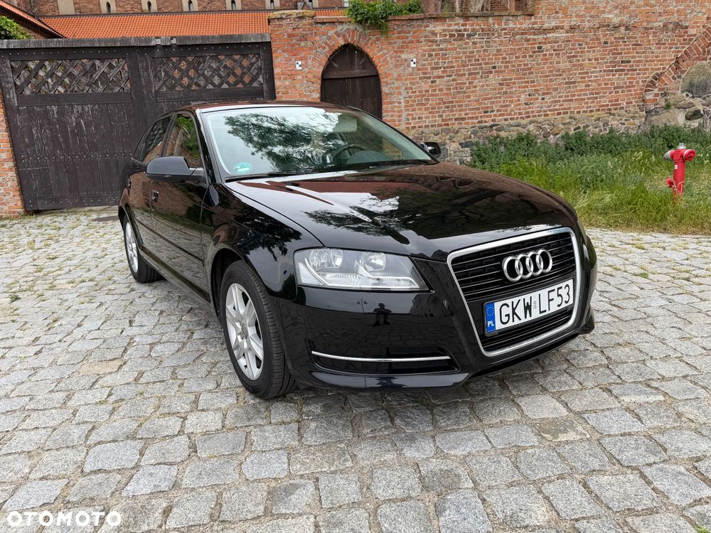 Audi A3 Sportback 1.6 Attraction - 30