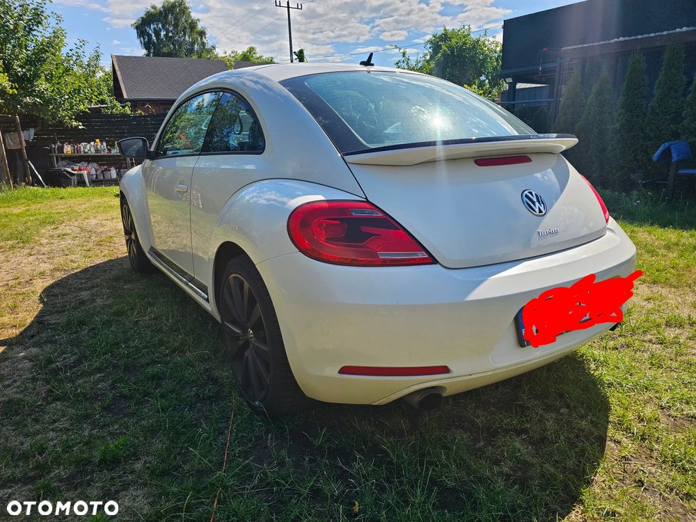 Volkswagen Beetle - 2