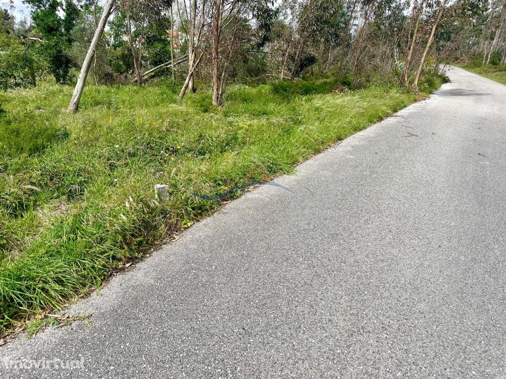 Terreno - Monte Real - Grande imagem: 2/12