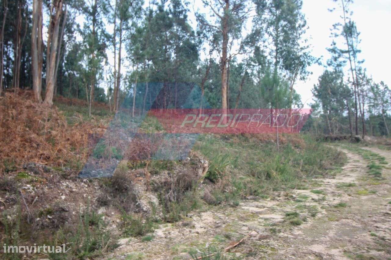 Terreno para Construção na zona de Vila Verde! - Grande imagem: 5/6