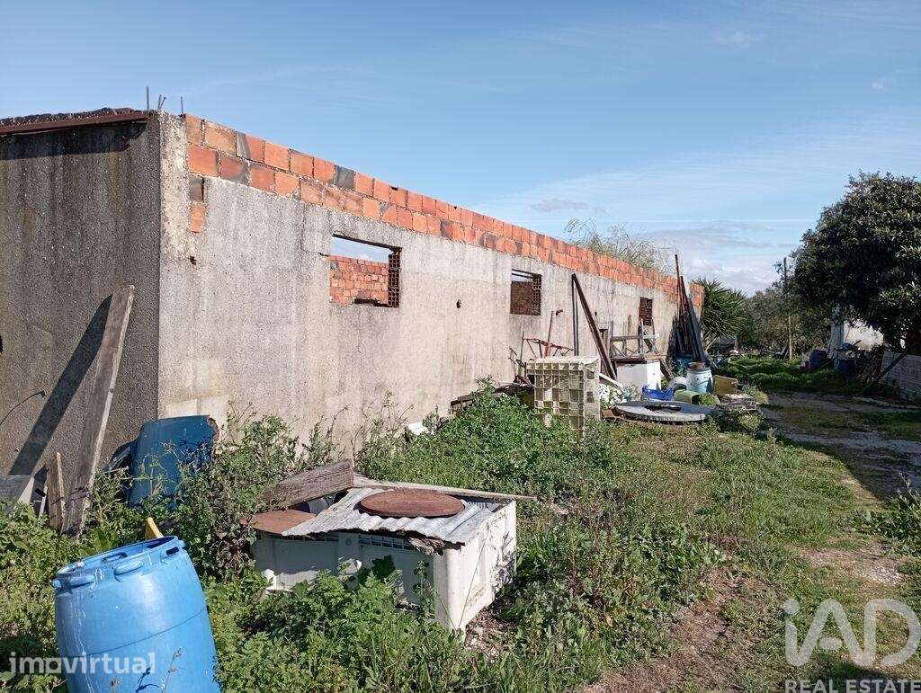 Terreno em Vale de Santarém de 43200,00 m2 - Grande imagem: 4/28